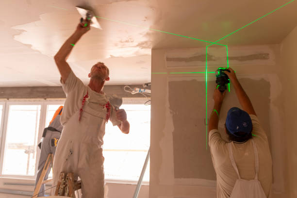 Best Ceiling Drywall Installation  in Lone Oak, TN